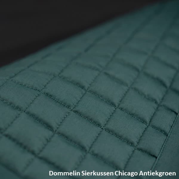 Dommelin sierkussen - Chicago Antiekgroen