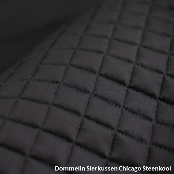 Dommelin sierkussen Chicago - Steenkool